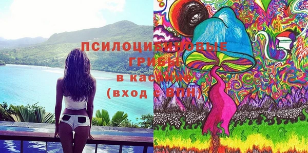 шишки Кинешма