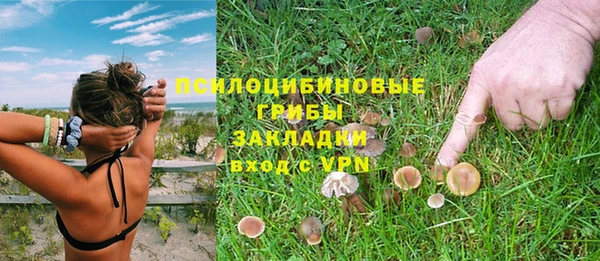 шишки Кинешма